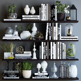 Books shelves decor set